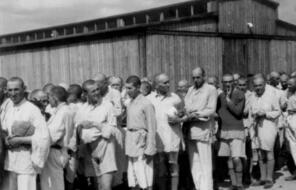 Men in prison uniform and shaved heads stand in line.