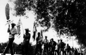 Photograph shows farm workers and supporters of the United Farm Workers (UFW) during the Peregrinacion (Pilgrimage), a 340 mile march from Delano to the steps of the state Capitol in Sacramento, California.