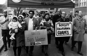 Supporters of the Grape Boycott demonstrate in Toronto, Ontario, December, 1968. Jessica Govea is in the center, front row (wearing poncho).