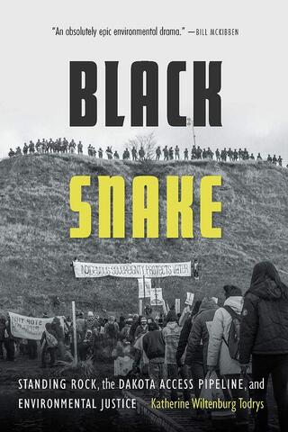 Full book cover of Black Snake: Standing Rock, the Dakota Access Pipeline, and Environmental Justice.