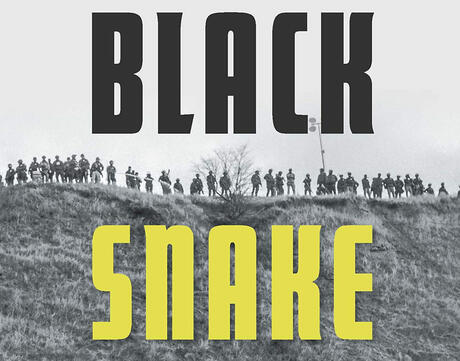Cropped Black Snake book cover.