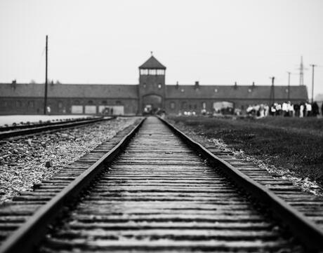  Black and white image of Auschwitz Birkenau Gate.